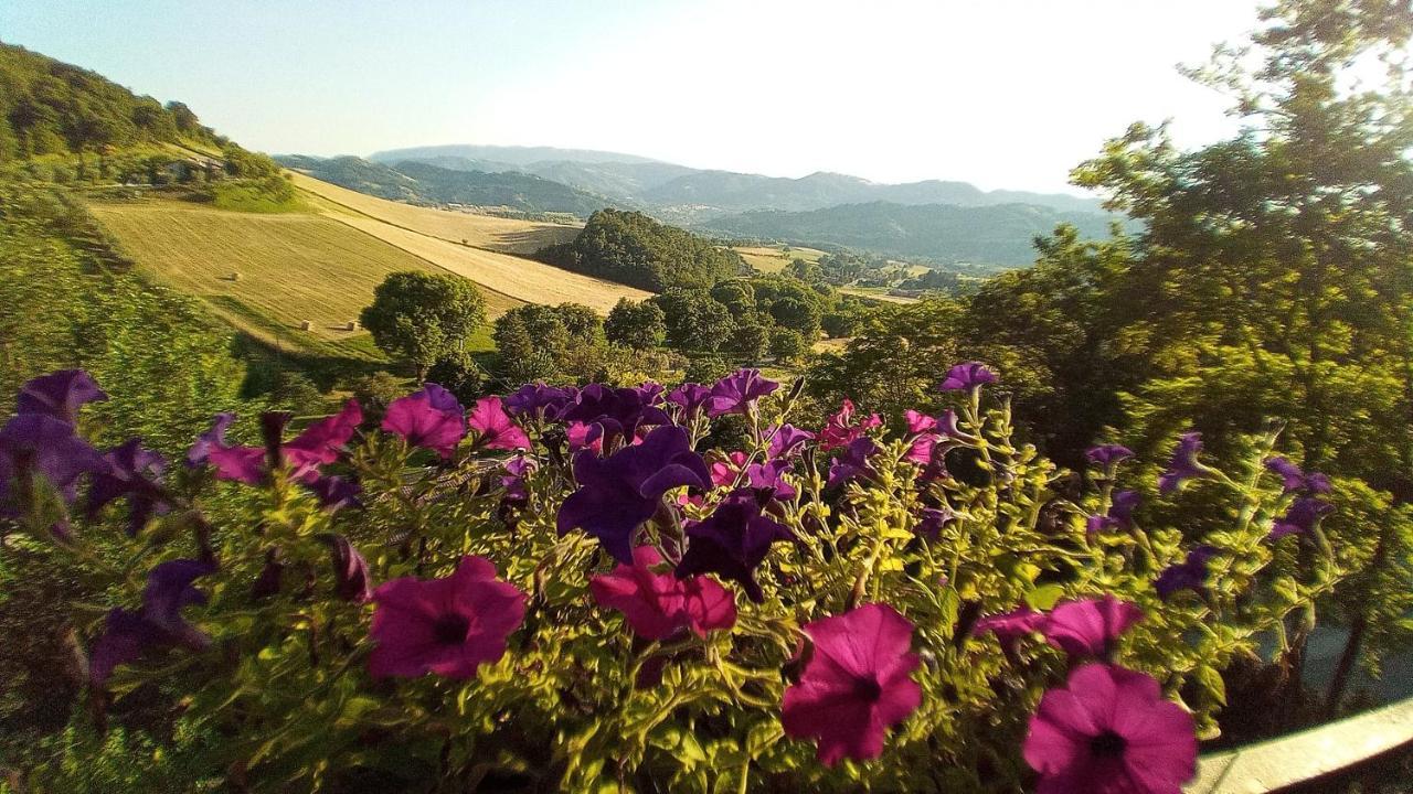 Villa Agriturismo Le Francesche Nocera Umbra Exterior foto